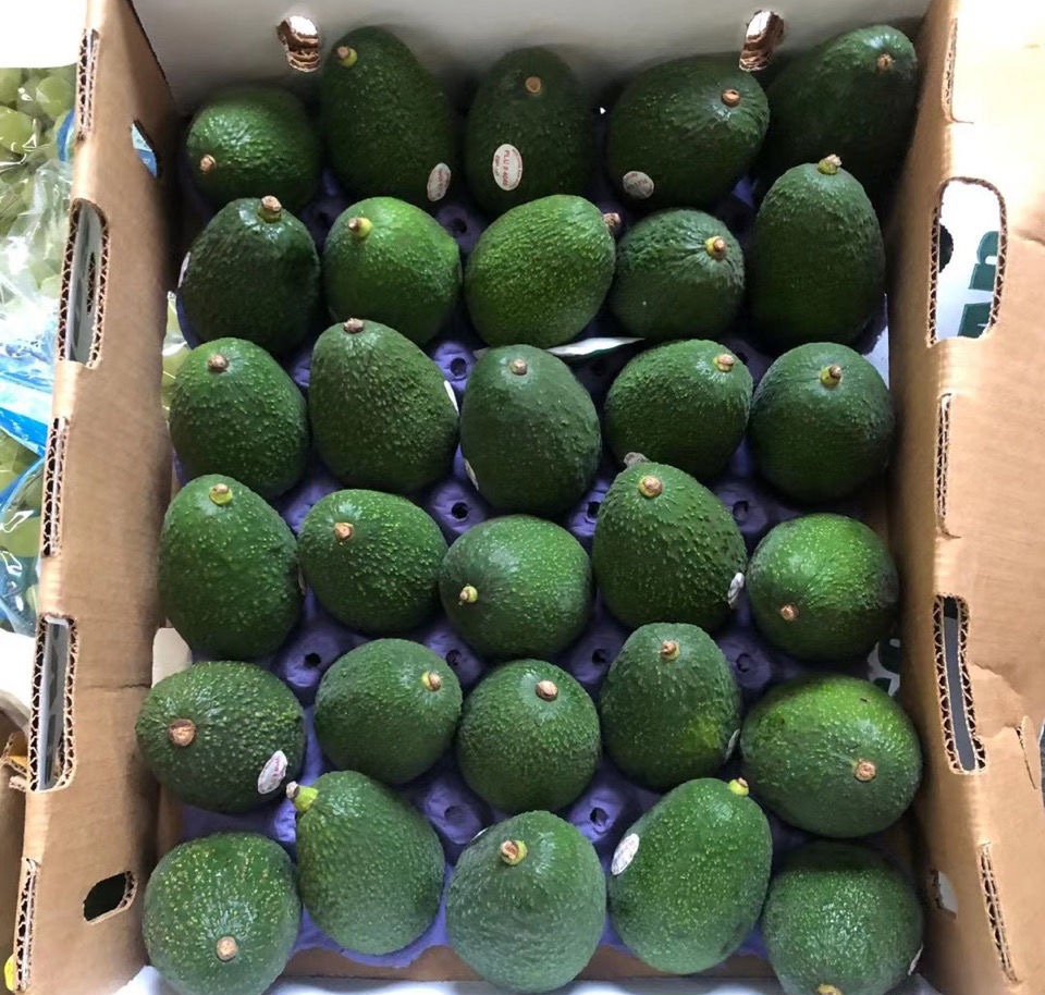 Fresh avocado (organic fruit)-US - Image 4