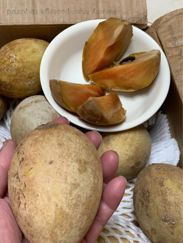 Fresh sapodilla(organic Fruits)-US - Image 4