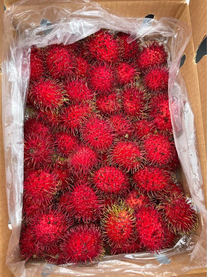 Fresh rambutan (organic fruit)-US