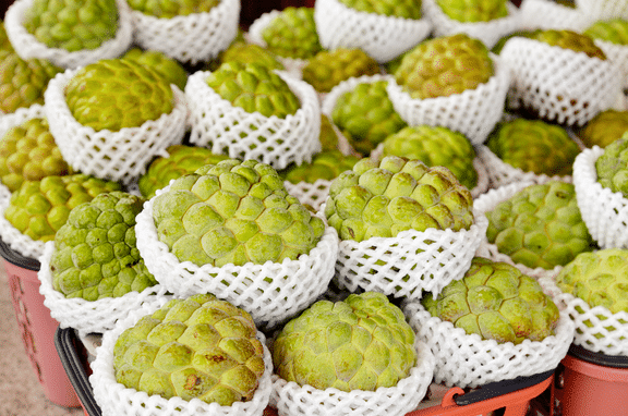 Fresh sugar apple (organic fruits) - Image 4