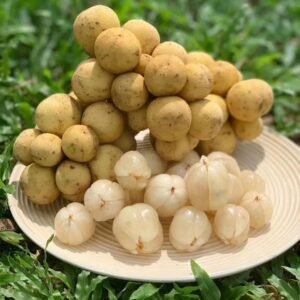 Fresh lansones (organic fruit)