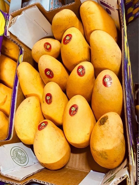 Freshly picked yellow mangoes - Image 2