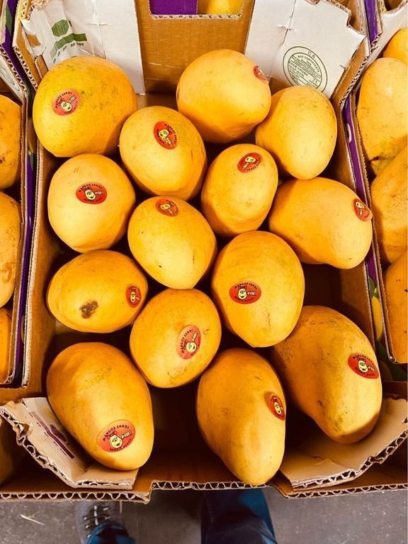 Freshly picked yellow mangoes - Image 3