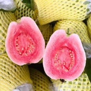 Fresh pink guava (organic fruit)