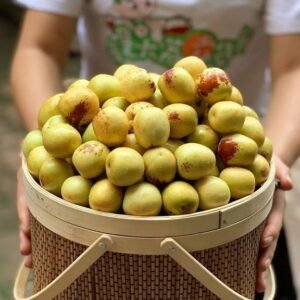 Fresh sweet date (organic fruit)-P