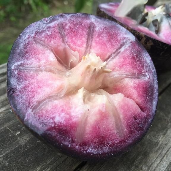 Fresh stars apples (organic fruit)-P