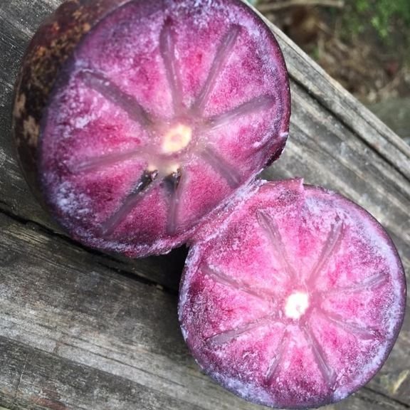 Fresh stars apples (organic fruit)-P - Image 3