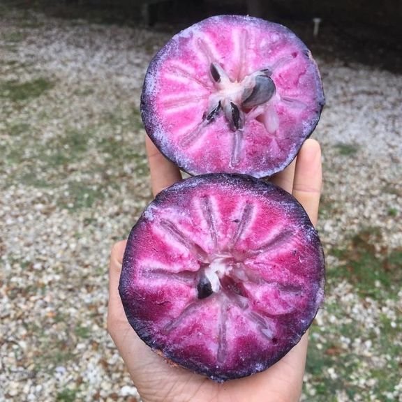 Fresh stars apples (organic fruit)-P - Image 2