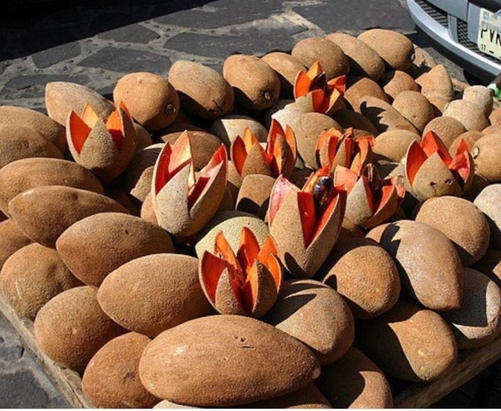 Fresh mamey sapote (organic fruit)-P - Image 6
