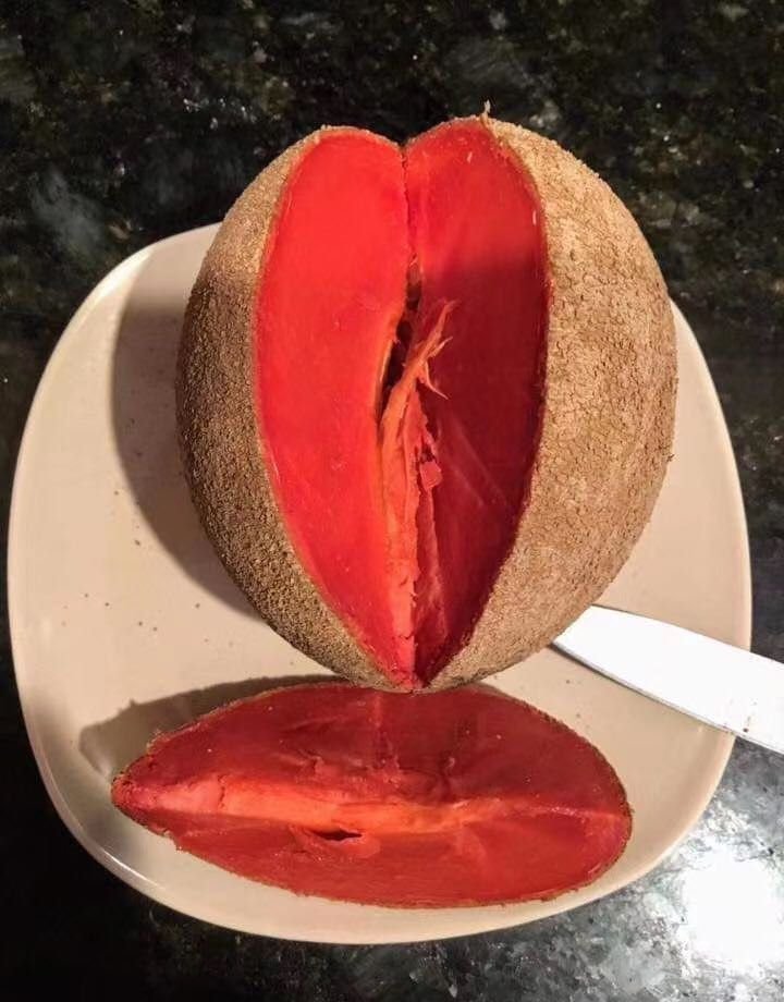 Fresh mamey sapote (organic fruit)-P - Image 3