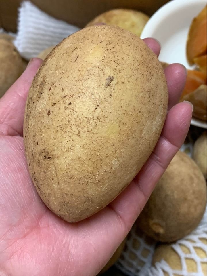 Fresh sapodilla(organic Fruits) - Image 3