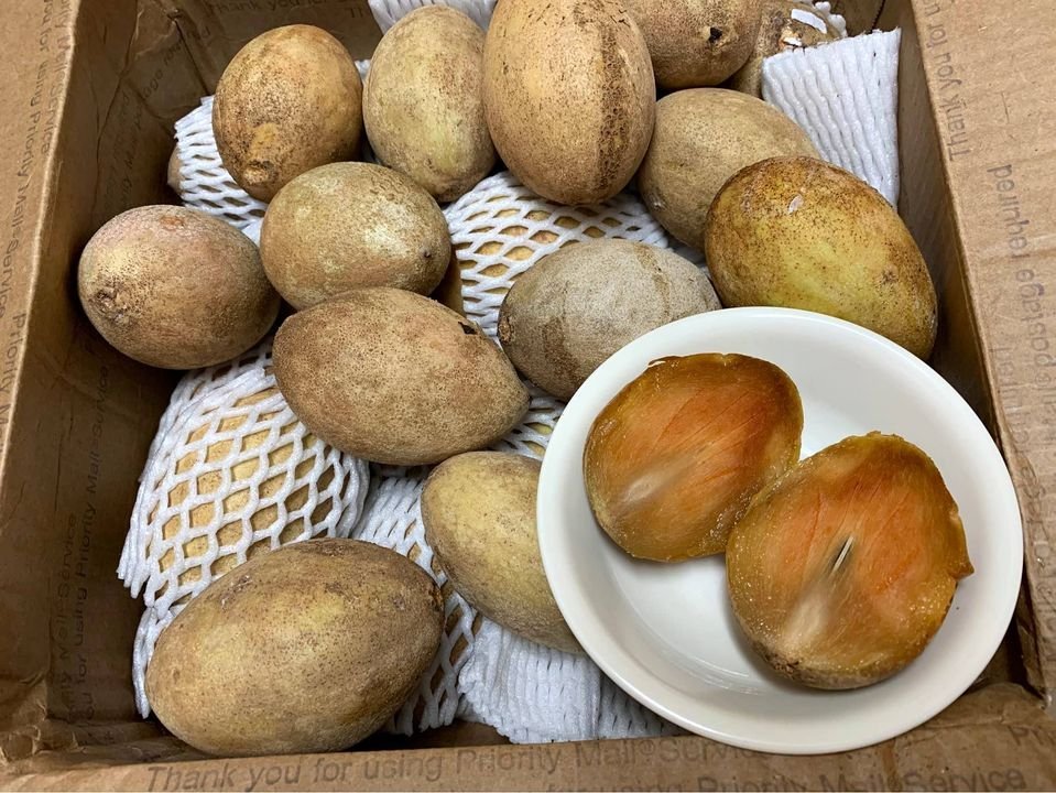 Fresh sapodilla(organic Fruits) - Image 5