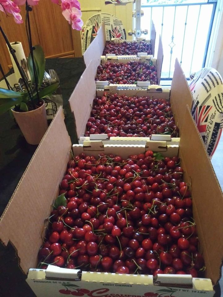 Fresh cherries (organic fruit)-P - Image 3