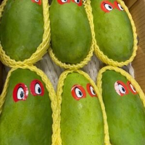 Fresh Thai mango (organic fruit)