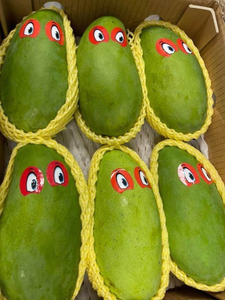 Fresh Thai mango (organic fruit)