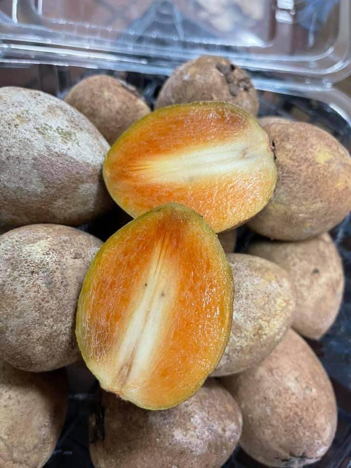 Fresh sapodilla(organic Fruits) - Image 2