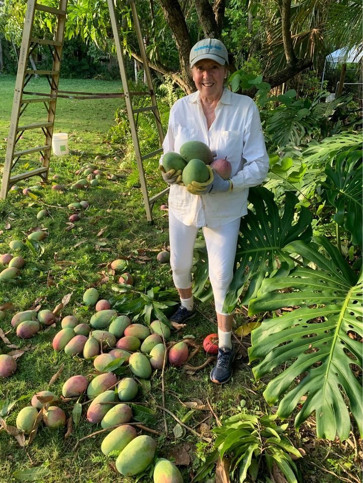 Fresh Thai mango (organic fruit) - Image 8