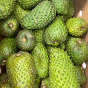 Fresh Soursop (organic fruit)