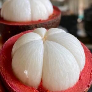Fresh mangosteen (organic fruit)
