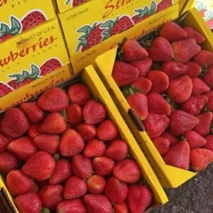 Fresh strawberry (organic fruit)-P