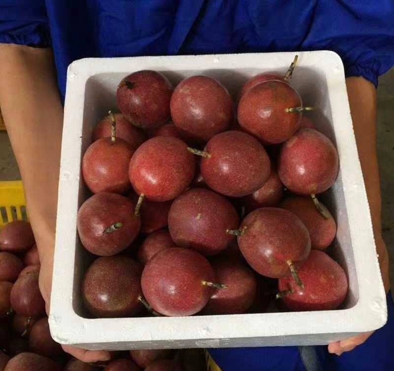 Fresh purple passion fruit (organic fruits)-P - Image 3