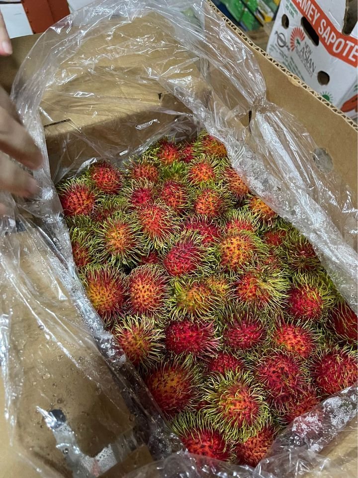 Fresh rambutan (organic fruit) - Image 4