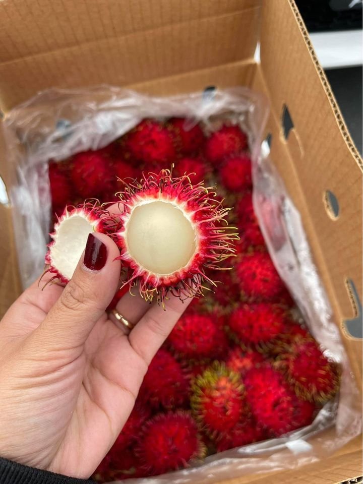 Fresh rambutan (organic fruit) - Image 2