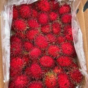 Fresh rambutan (organic fruit)