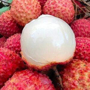Fresh lychees (organic fruit)