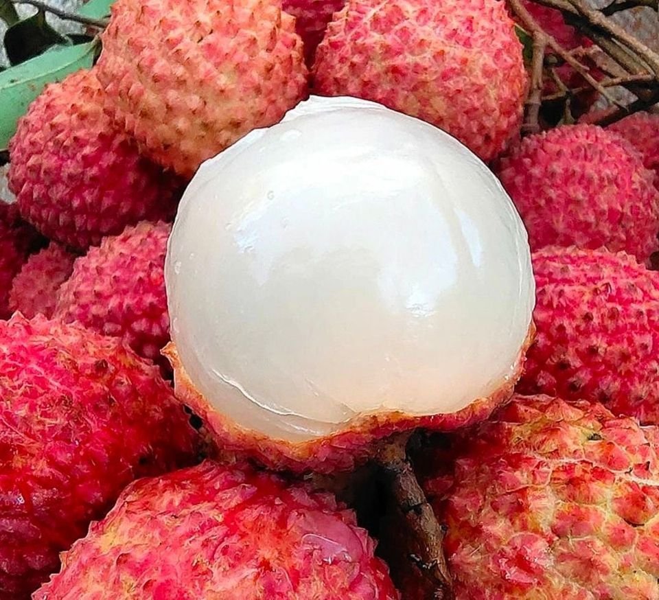 Fresh lychees (organic fruit) -P