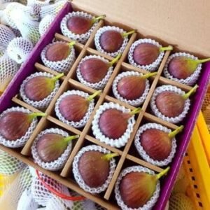 Fresh figs (organic fruit)
