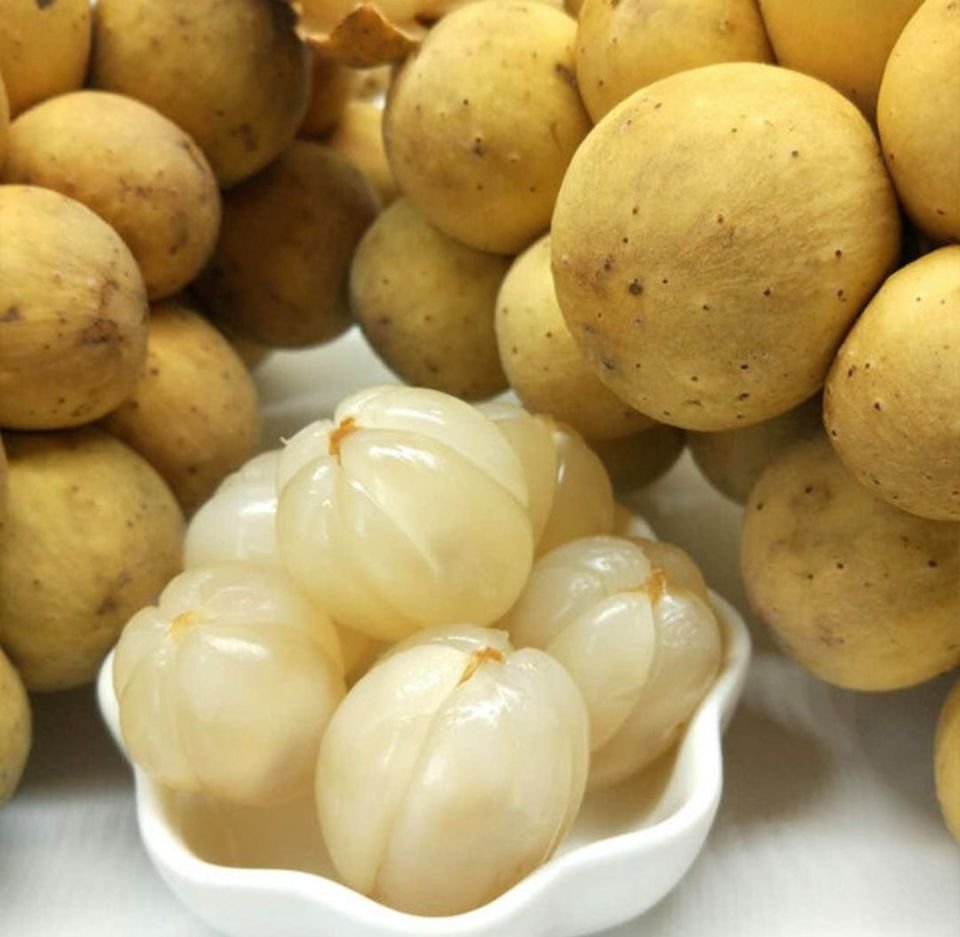 Fresh lansones (organic fruit) - Image 4