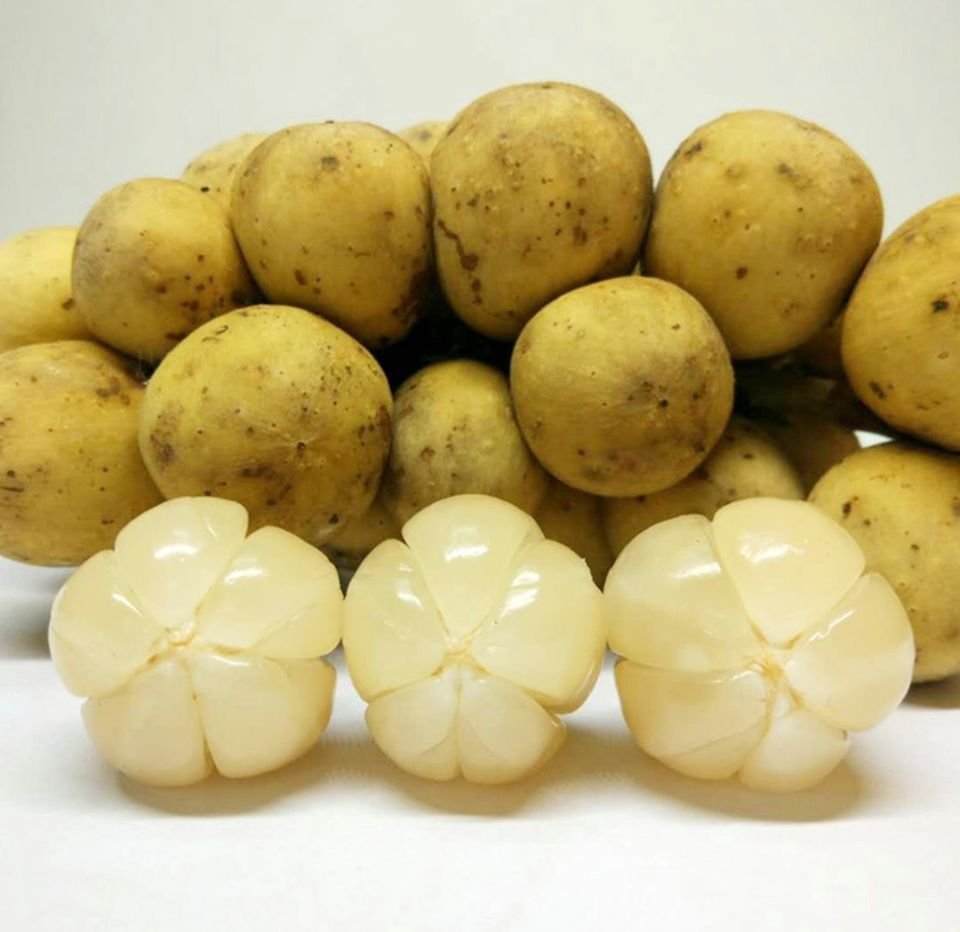 Fresh lansones (organic fruit) - Image 5