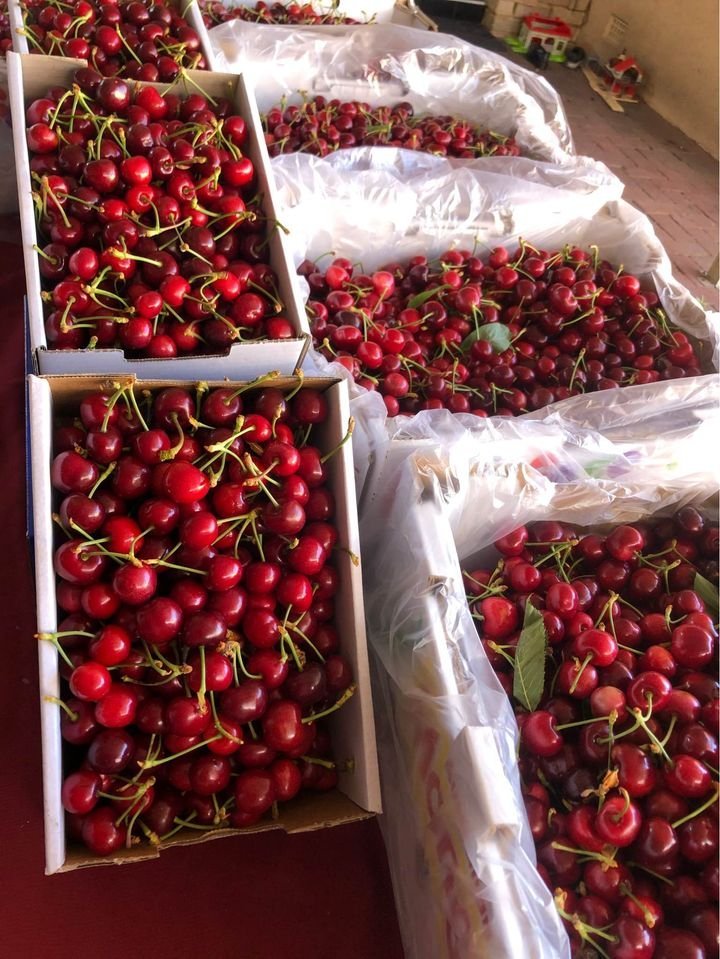 Fresh cherries (organic fruit)-P - Image 5