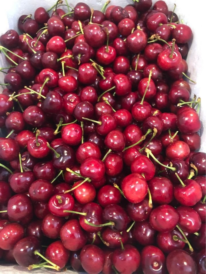 Fresh cherries (organic fruit)-P