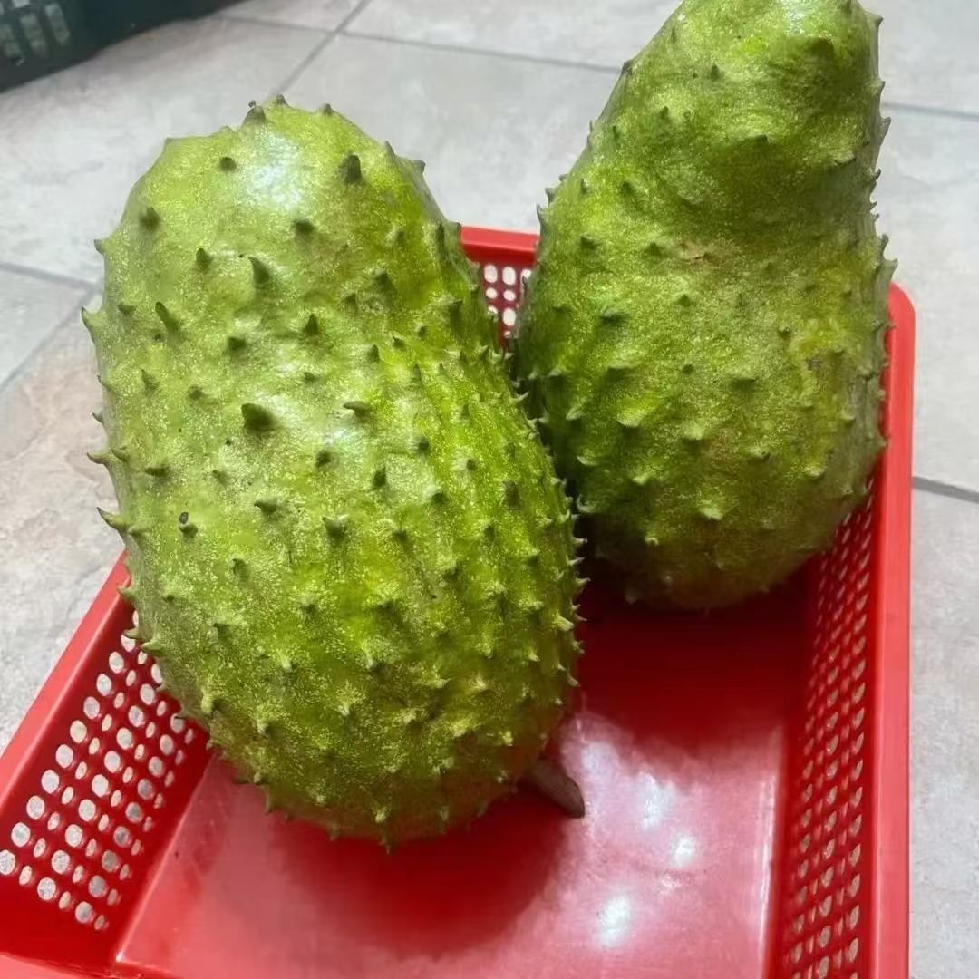 Fresh Soursop (organic fruit) - Image 2