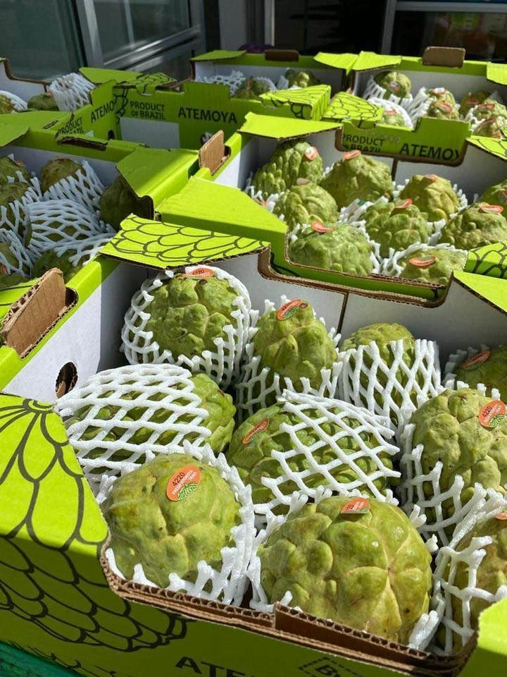 Fresh sugar apple (organic fruits) - Image 5