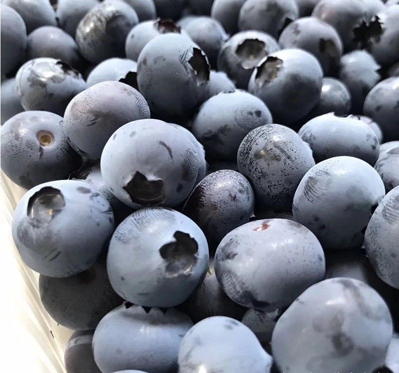 Fresh blueberry (organic fruit)-P - Image 3