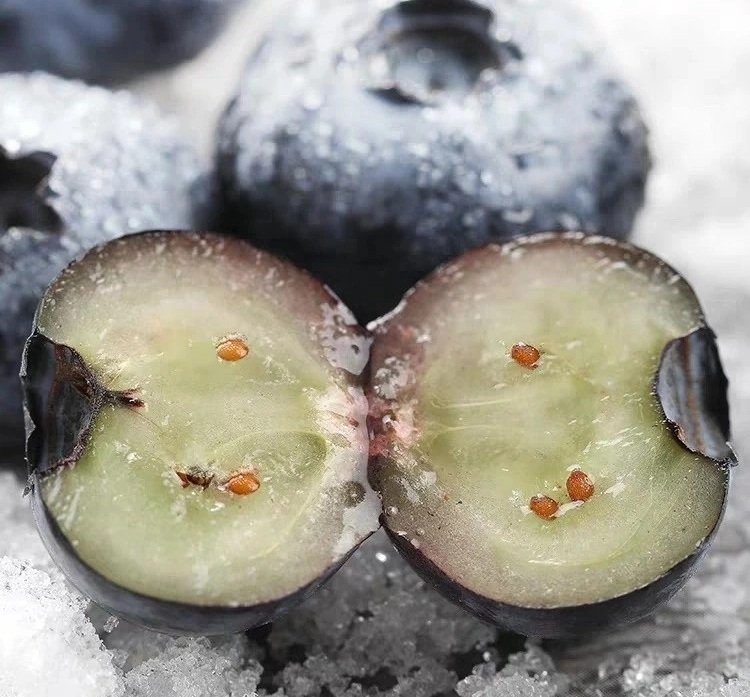 Fresh blueberry (organic fruit)-P - Image 2