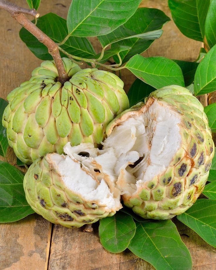 Fresh sugar apple (organic fruits) - Image 2