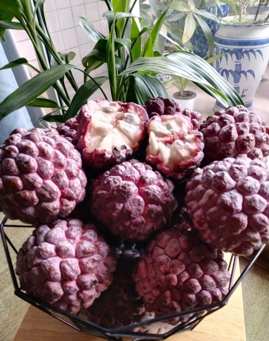Fresh rose sugar apple (organic fruits)-P - Image 2