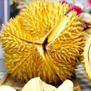 Thai golden pillow durian (organic fruit)