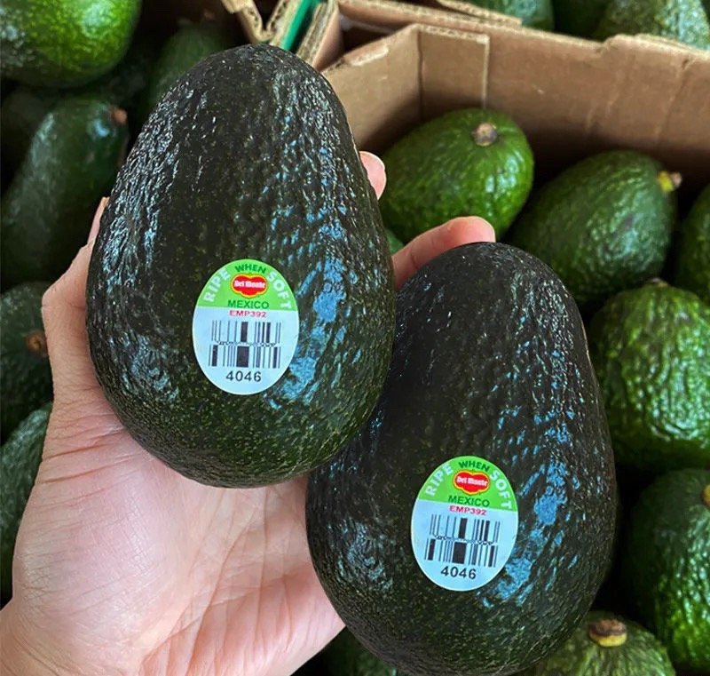 Fresh avocado (organic fruit)-P - Image 2