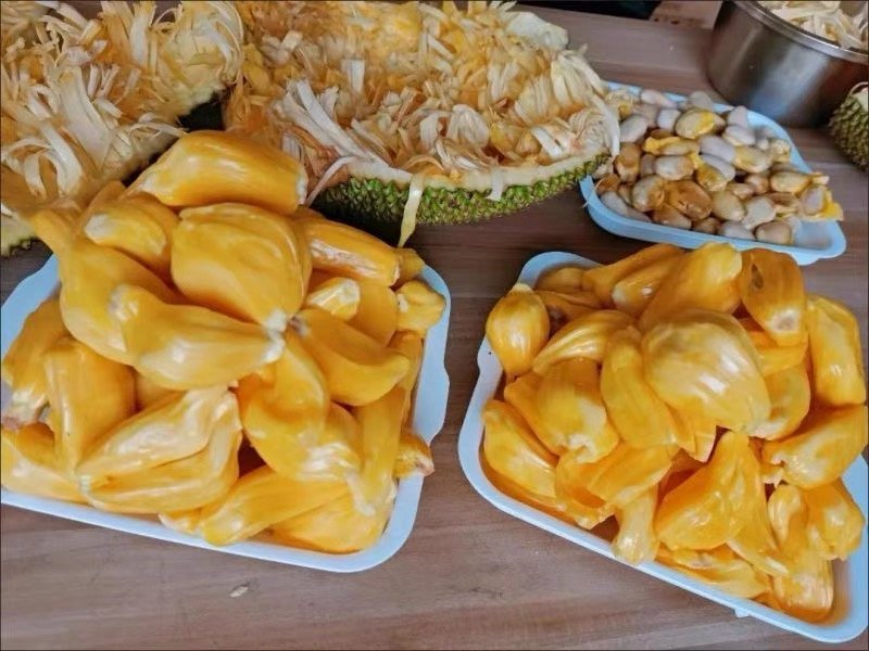 Fresh jackfruit (organic fruit) - Image 4