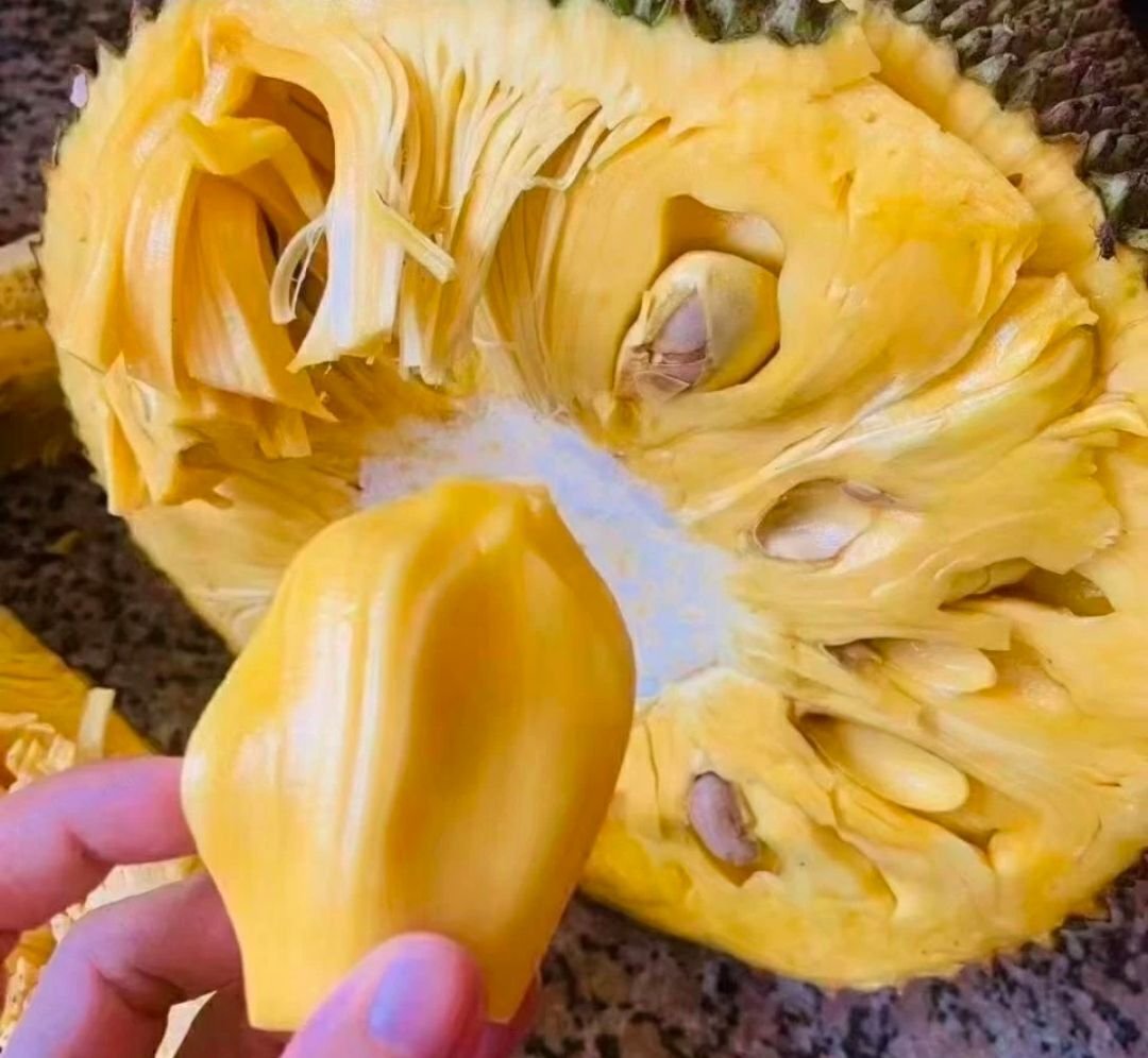 Fresh jackfruit (organic fruit) - Image 2