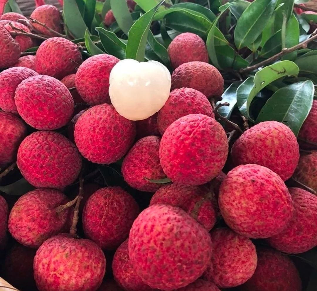 Fresh lychees (organic fruit) -P - Image 2