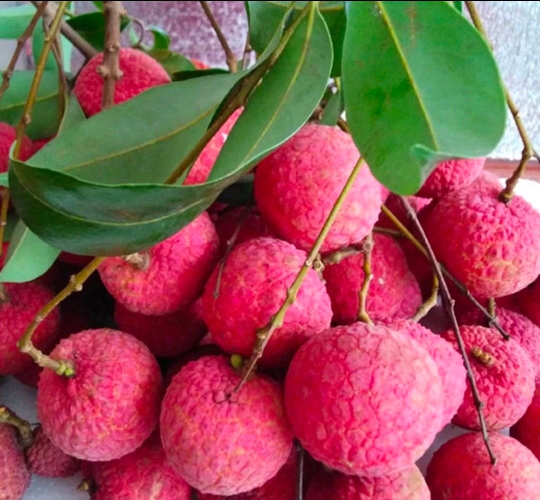 Fresh lychees (organic fruit) -P - Image 3