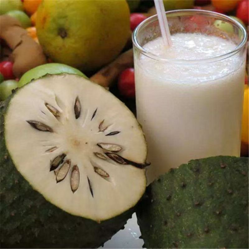 Fresh Soursop (organic fruit) - Image 5